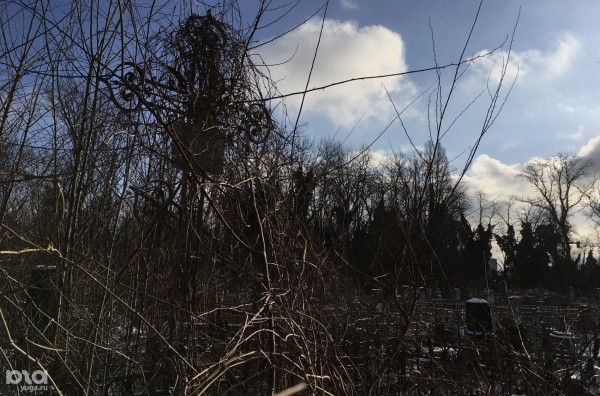 Погост 2.0. Кто и зачем рубит деревья на Всесвятском кладбище в Краснодаре Погост 2.0. Кто и зачем рубит деревья на Всесвятском кладбище в Краснодаре