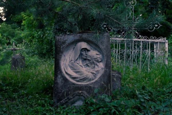 Погост 2.0. Кто и зачем рубит деревья на Всесвятском кладбище в Краснодаре Погост 2.0. Кто и зачем рубит деревья на Всесвятском кладбище в Краснодаре