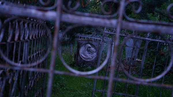 Погост 2.0. Кто и зачем рубит деревья на Всесвятском кладбище в Краснодаре Погост 2.0. Кто и зачем рубит деревья на Всесвятском кладбище в Краснодаре