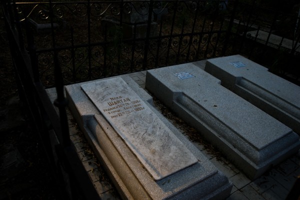 Погост 2.0. Кто и зачем рубит деревья на Всесвятском кладбище в Краснодаре Погост 2.0. Кто и зачем рубит деревья на Всесвятском кладбище в Краснодаре