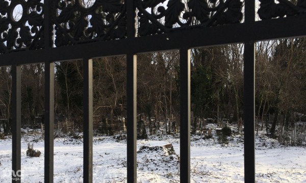 Погост 2.0. Кто и зачем рубит деревья на Всесвятском кладбище в Краснодаре Погост 2.0. Кто и зачем рубит деревья на Всесвятском кладбище в Краснодаре