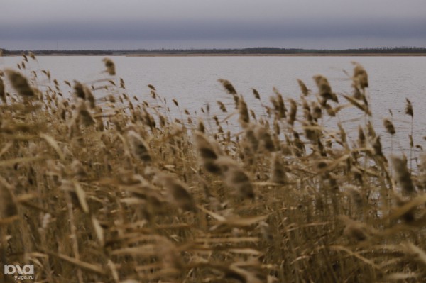 Уезжаем на один день из Краснодара. Первый монастырь на Кубани и серебряные трубы поселка Лебяжий остров Уезжаем на один день из Краснодара. Первый монастырь на Кубани и серебряные трубы поселка Лебяжий остров