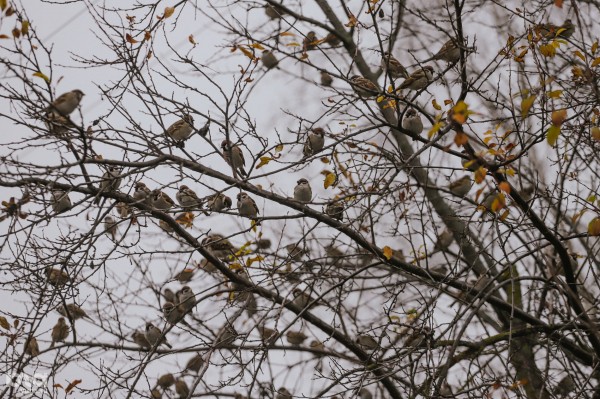 Уезжаем на один день из Краснодара. Первый монастырь на Кубани и серебряные трубы поселка Лебяжий остров Уезжаем на один день из Краснодара. Первый монастырь на Кубани и серебряные трубы поселка Лебяжий остров