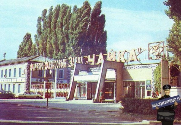 Чайка, которая еще в полете. Как советский промышленный гигант возродился в маленьком кубанском поселке Чайка, которая еще в полете. Как советский промышленный гигант возродился в маленьком кубанском поселке