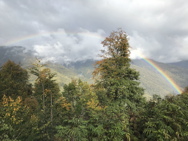 Облачные водопады и горные призраки. Как работают метеорологи в горах Сочи