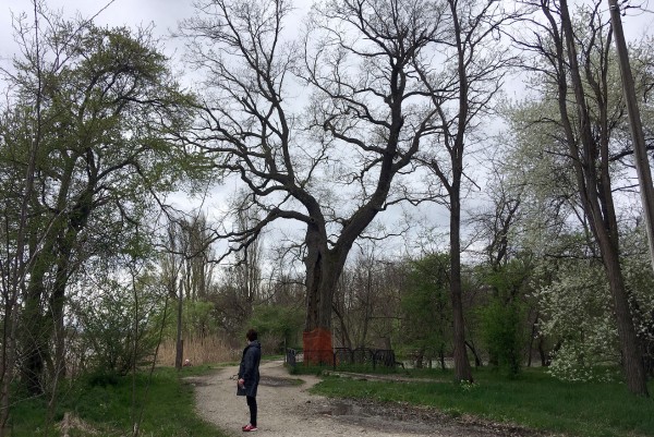 Летаем над самым большим зеленым массивом Краснодара. Часть 1: Солнечный остров Летаем над самым большим зеленым массивом Краснодара. Часть 1: Солнечный остров