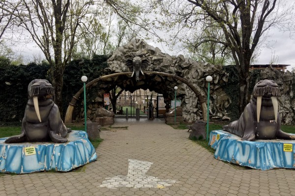 Летаем над самым большим зеленым массивом Краснодара. Часть 1: Солнечный остров Летаем над самым большим зеленым массивом Краснодара. Часть 1: Солнечный остров