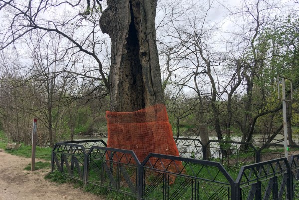 Летаем над самым большим зеленым массивом Краснодара. Часть 1: Солнечный остров Летаем над самым большим зеленым массивом Краснодара. Часть 1: Солнечный остров