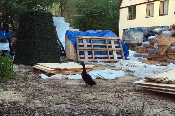 Летаем над самым большим зеленым массивом Краснодара. Часть 1: Солнечный остров Летаем над самым большим зеленым массивом Краснодара. Часть 1: Солнечный остров