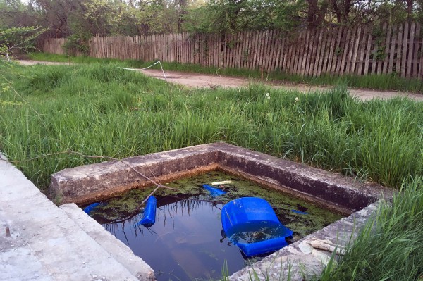 Летаем над самым большим зеленым массивом Краснодара. Часть 1: Солнечный остров Летаем над самым большим зеленым массивом Краснодара. Часть 1: Солнечный остров