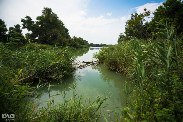 Летаем над&nbsp;самым&nbsp;большим зеленым&nbsp;массивом Краснодара. Часть&nbsp;2: Большой&nbsp;остров