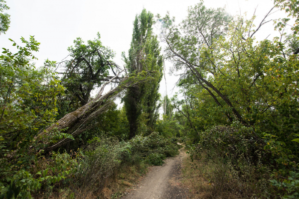 Летаем над&nbsp;самым&nbsp;большим зеленым&nbsp;массивом Краснодара. Часть&nbsp;2: Большой&nbsp;остров
