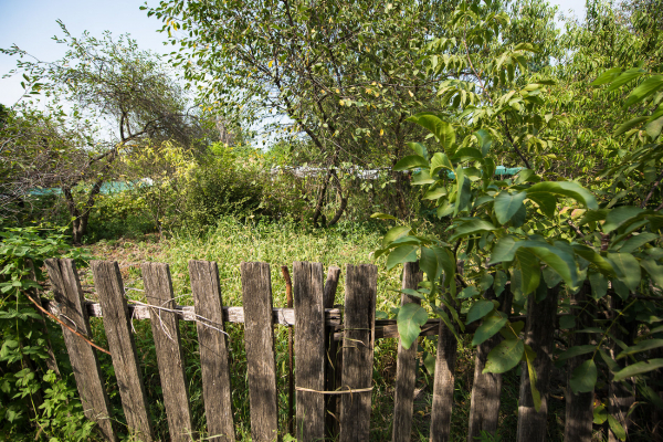 Летаем над&nbsp;самым&nbsp;большим зеленым&nbsp;массивом Краснодара. Часть&nbsp;2: Большой&nbsp;остров