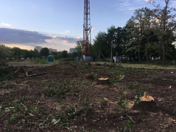 Новый парк в Краснодаре за 262 миллиона рублей — где он будет и что там сейчас? Новый парк в Краснодаре за 262 миллиона рублей — где он будет и что там сейчас?