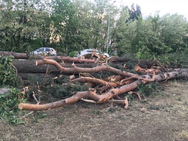 Новый парк в Краснодаре за 262 миллиона рублей — где он будет и что там сейчас? Новый парк в Краснодаре за 262 миллиона рублей — где он будет и что там сейчас?