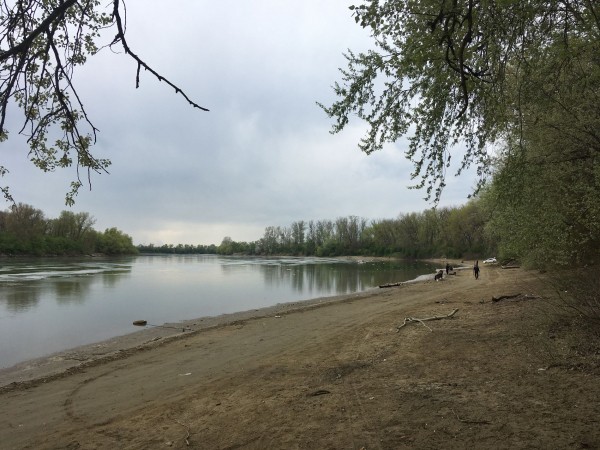 Новый парк в Краснодаре за 262 миллиона рублей — где он будет и что там сейчас? Новый парк в Краснодаре за 262 миллиона рублей — где он будет и что там сейчас?