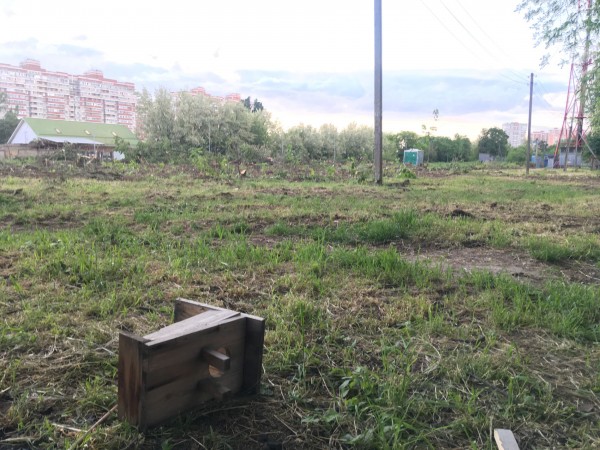 Новый парк в Краснодаре за 262 миллиона рублей — где он будет и что там сейчас? Новый парк в Краснодаре за 262 миллиона рублей — где он будет и что там сейчас?