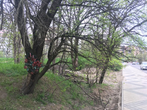 Новый парк в Краснодаре за 262 миллиона рублей — где он будет и что там сейчас? Новый парк в Краснодаре за 262 миллиона рублей — где он будет и что там сейчас?