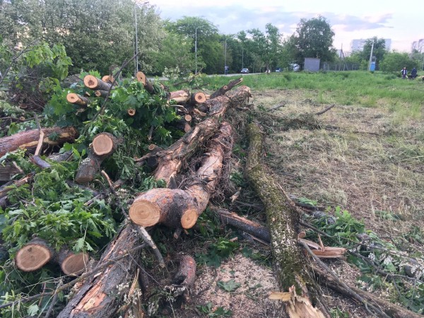 Новый парк в Краснодаре за 262 миллиона рублей — где он будет и что там сейчас? Новый парк в Краснодаре за 262 миллиона рублей — где он будет и что там сейчас?