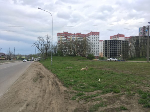 Новый парк в Краснодаре за 262 миллиона рублей — где он будет и что там сейчас? Новый парк в Краснодаре за 262 миллиона рублей — где он будет и что там сейчас?