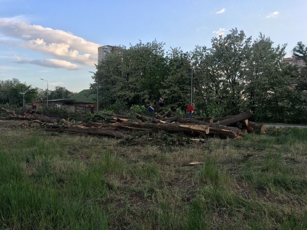 Новый парк в Краснодаре за 262 миллиона рублей — где он будет и что там сейчас? Новый парк в Краснодаре за 262 миллиона рублей — где он будет и что там сейчас?