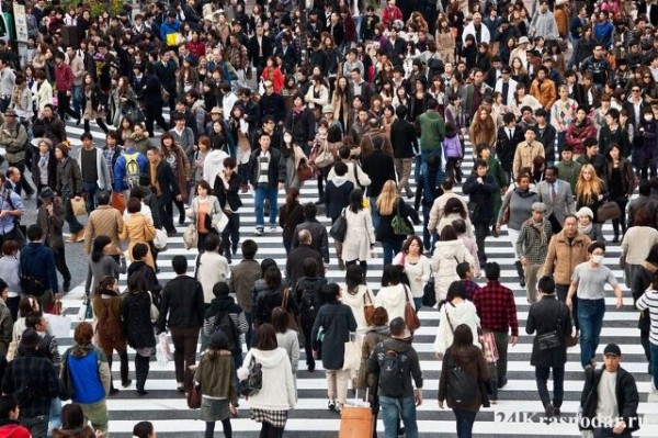 Переселенцы доведут население Кубани до 6 млн человек Переселенцы доведут население Кубани до 6 млн человек