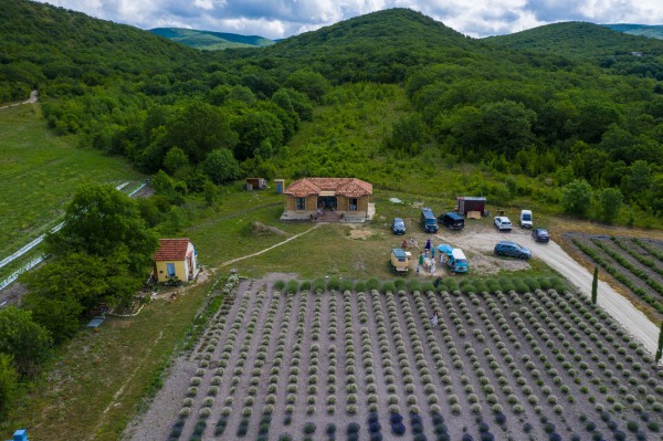 Лавандовые поля в Краснодарском крае и Крыму в 2022 году. Рассказываем, где их искать и сколько стоит прогулка