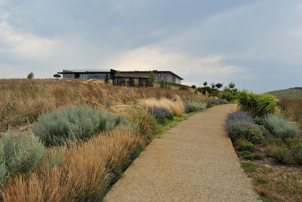 Лавандовые поля в Краснодарском крае и Крыму в 2022 году. Рассказываем, где их искать и сколько стоит прогулка