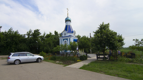 Лотосы на Кубани. Рассказываем, где искать озера и пруды с краснокнижными растениями