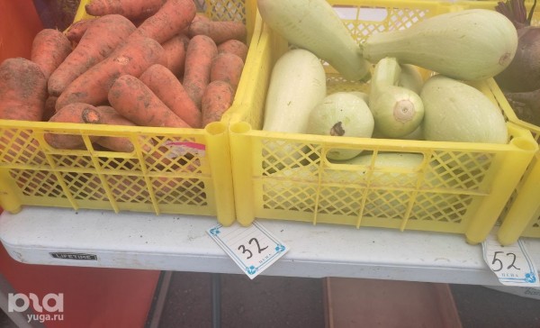 «Несколько палаточек, пустой рынок и непонятно кому поющая девочка на сцене». Рассказываем, что происходит на первой круглосуточной ярмарке Краснодара