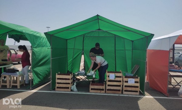 «Несколько палаточек, пустой рынок и непонятно кому поющая девочка на сцене». Рассказываем, что происходит на первой круглосуточной ярмарке Краснодара