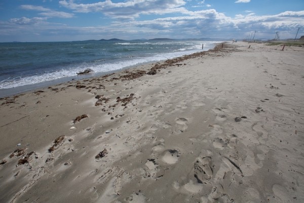 Во всей красе: где находятся ТОП-10 нудистских пляжей Краснодарского края Во всей красе: где находятся ТОП-10 нудистских пляжей Краснодарского края
