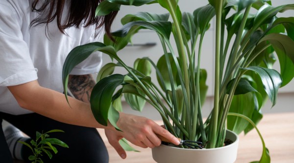 Несмотря на последние новости, выходные будут. 7 идей для тех, кто проведёт их в Краснодаре Несмотря на последние новости, выходные будут. 7 идей для тех, кто проведёт их в Краснодаре