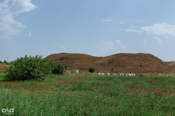 Падальщики и патриоты Кубани. Кто раскапывает древние города, как повезло Фанагории и почему она уникальна для археологии Средиземноморья