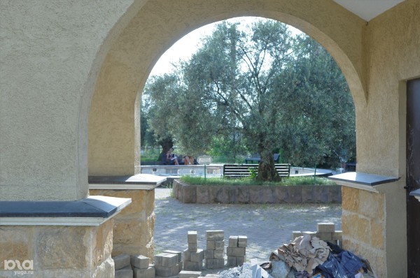 Место, где лежит олимпийская пыль. Чем живёт первая и единственная в России федеральная территория Место, где лежит олимпийская пыль. Чем живёт первая и единственная в России федеральная территория