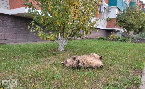 «Называемся «Прогрессом», но он до нас ещё не дошёл». Репортаж из краснодарского посёлка, где уже три месяца нет горячей воды и до сих пор нет отопления