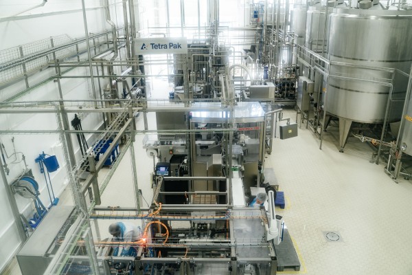 Главное &mdash; выдержка. Как на Кубани производят твёрдые сыры, способные конкурировать с европейскими аналогами