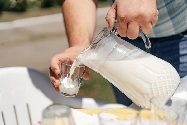 Главное &mdash; выдержка. Как на Кубани производят твёрдые сыры, способные конкурировать с европейскими аналогами