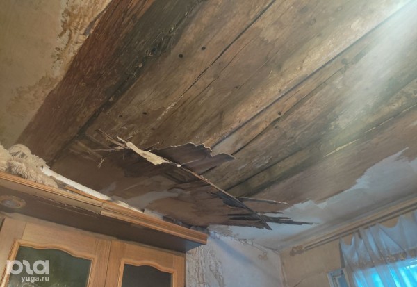 &laquo;Мы, как эта кошка, останемся без жилья&raquo;. В Краснодаре ветеранов боевых действий и их семьи выселяют на улицу