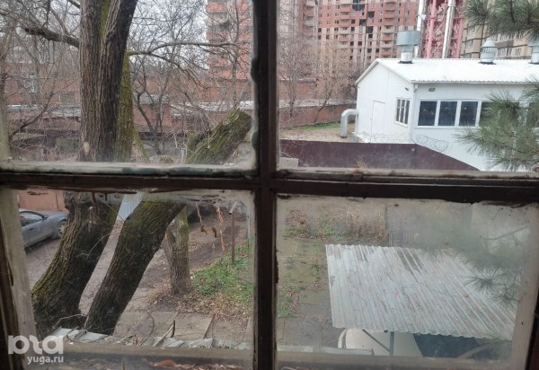 &laquo;Мы, как эта кошка, останемся без жилья&raquo;. В Краснодаре ветеранов боевых действий и их семьи выселяют на улицу