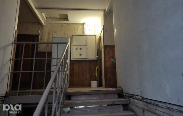 &laquo;Мы, как эта кошка, останемся без жилья&raquo;. В Краснодаре ветеранов боевых действий и их семьи выселяют на улицу