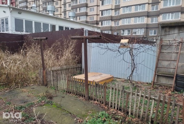 &laquo;Мы, как эта кошка, останемся без жилья&raquo;. В Краснодаре ветеранов боевых действий и их семьи выселяют на улицу