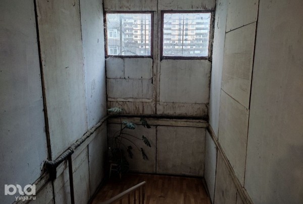 &laquo;Мы, как эта кошка, останемся без жилья&raquo;. В Краснодаре ветеранов боевых действий и их семьи выселяют на улицу