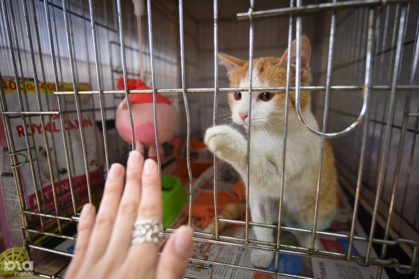 С чего начать делать добрые дела? Рассказываем, кому можно помочь прямо сейчас