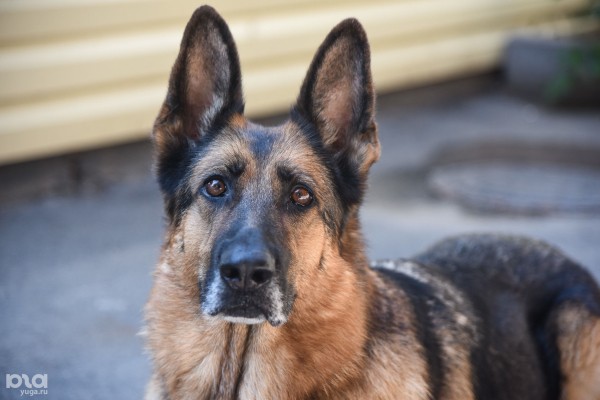 Топ главных происшествий года в Краснодарском крае