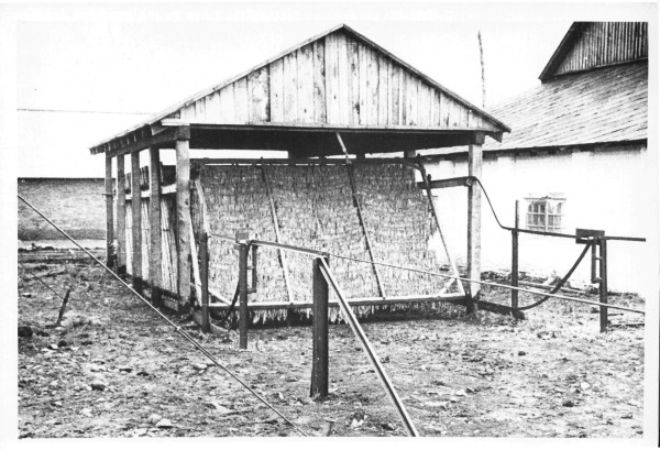 «Железный занавес упадёт, тогда посмотрим». Как в спальном районе Краснодара выживает единственный в России институт табака 