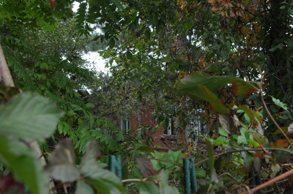 «Железный занавес упадёт, тогда посмотрим». Как в спальном районе Краснодара выживает единственный в России институт табака 