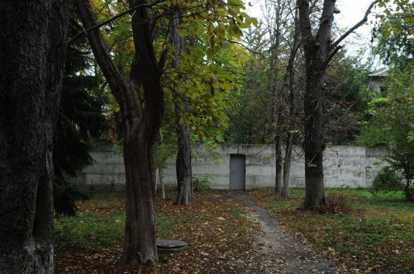 «Железный занавес упадёт, тогда посмотрим». Как в спальном районе Краснодара выживает единственный в России институт табака 