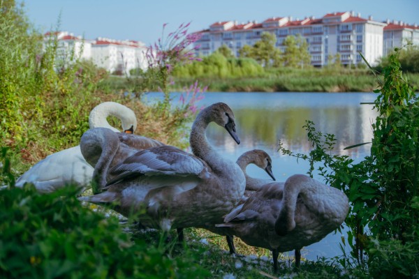 Что посмотреть в Сочи на выходных в феврале? Семь мест для прогулки всей семьей Что посмотреть в Сочи на выходных в феврале? Семь мест для прогулки всей семьей