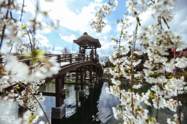 Японский сад называют самой камерной и атмосферной локацией парка &laquo;Краснодар&raquo;. Фото и впечатления